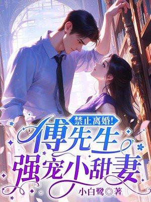 禁止离婚!傅先生强宠小甜妻