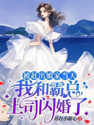 被赶出娘家当天,我和霸总上司闪婚了