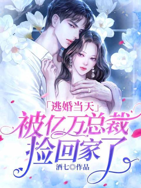 逃婚当天,被亿万总裁捡回家了