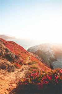 穿书男配跟班，觉醒最强系统内容精选